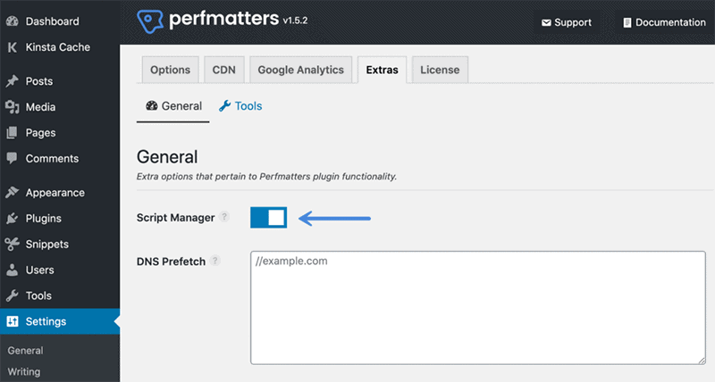 啟用 Perfmatters 腳本管理器