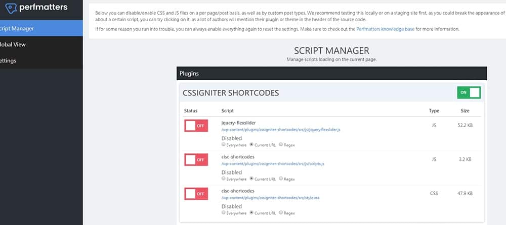 Perfmatters script manager